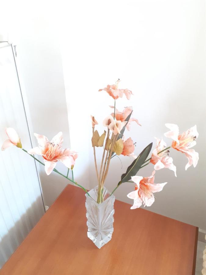 Asteris Appartment Θέρμη Εξωτερικό φωτογραφία