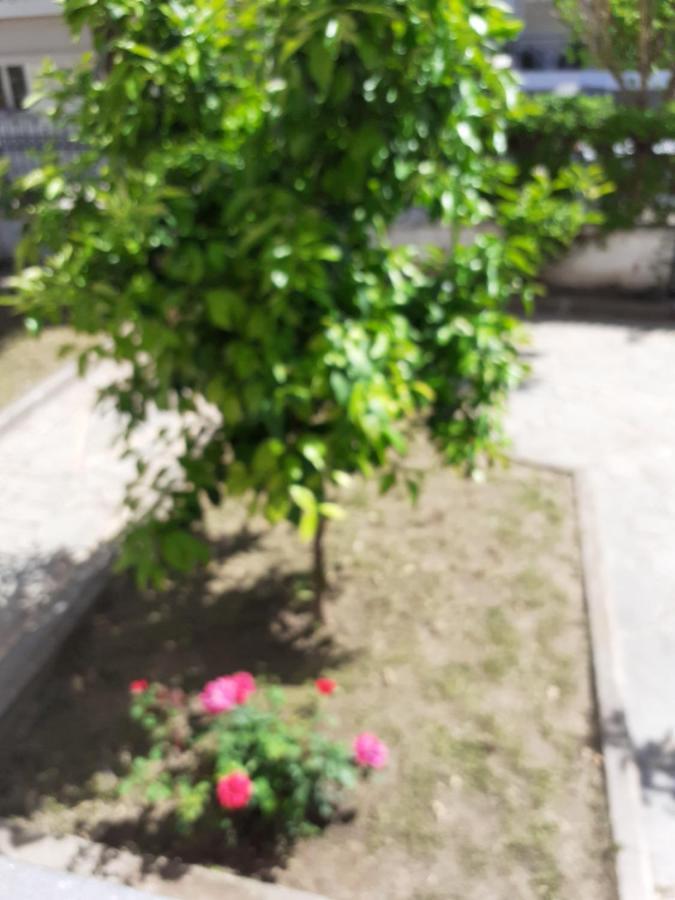 Asteris Appartment Θέρμη Εξωτερικό φωτογραφία